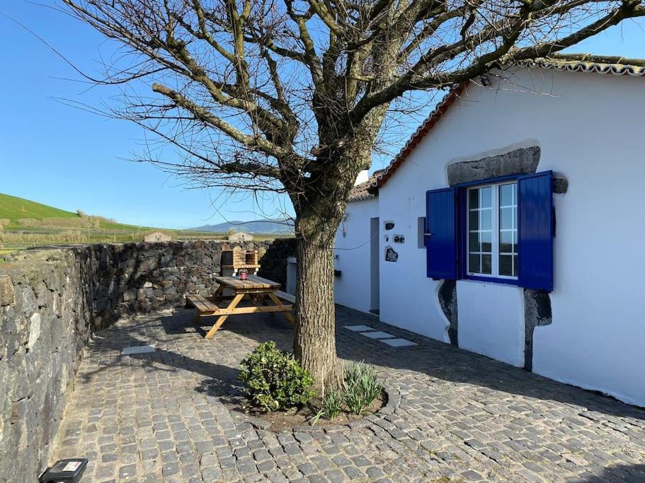 Vacas Felizes Villas - Casa Da Bilha Rabo de Peixe 外观 照片
